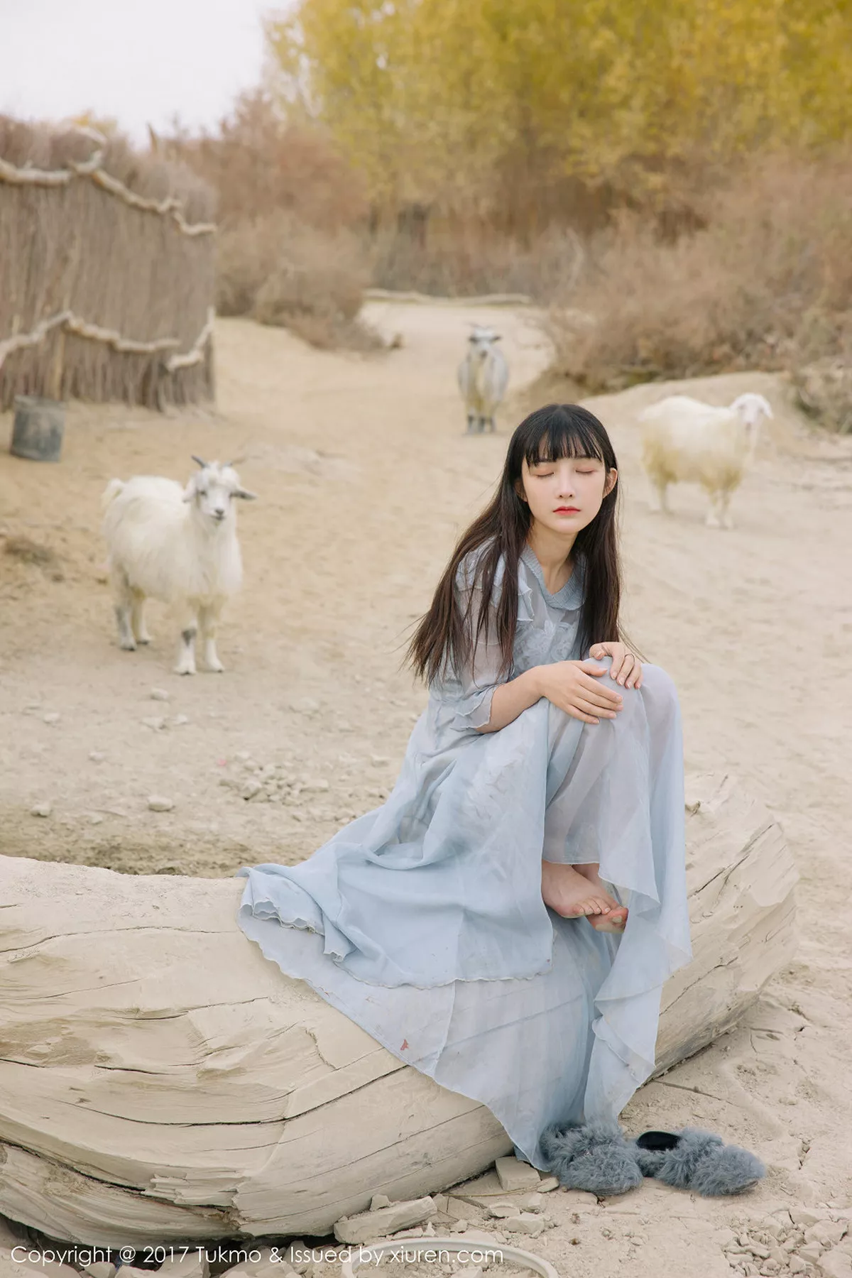 [BoLoli兔几盟]第104期之应写真 [40P]-026