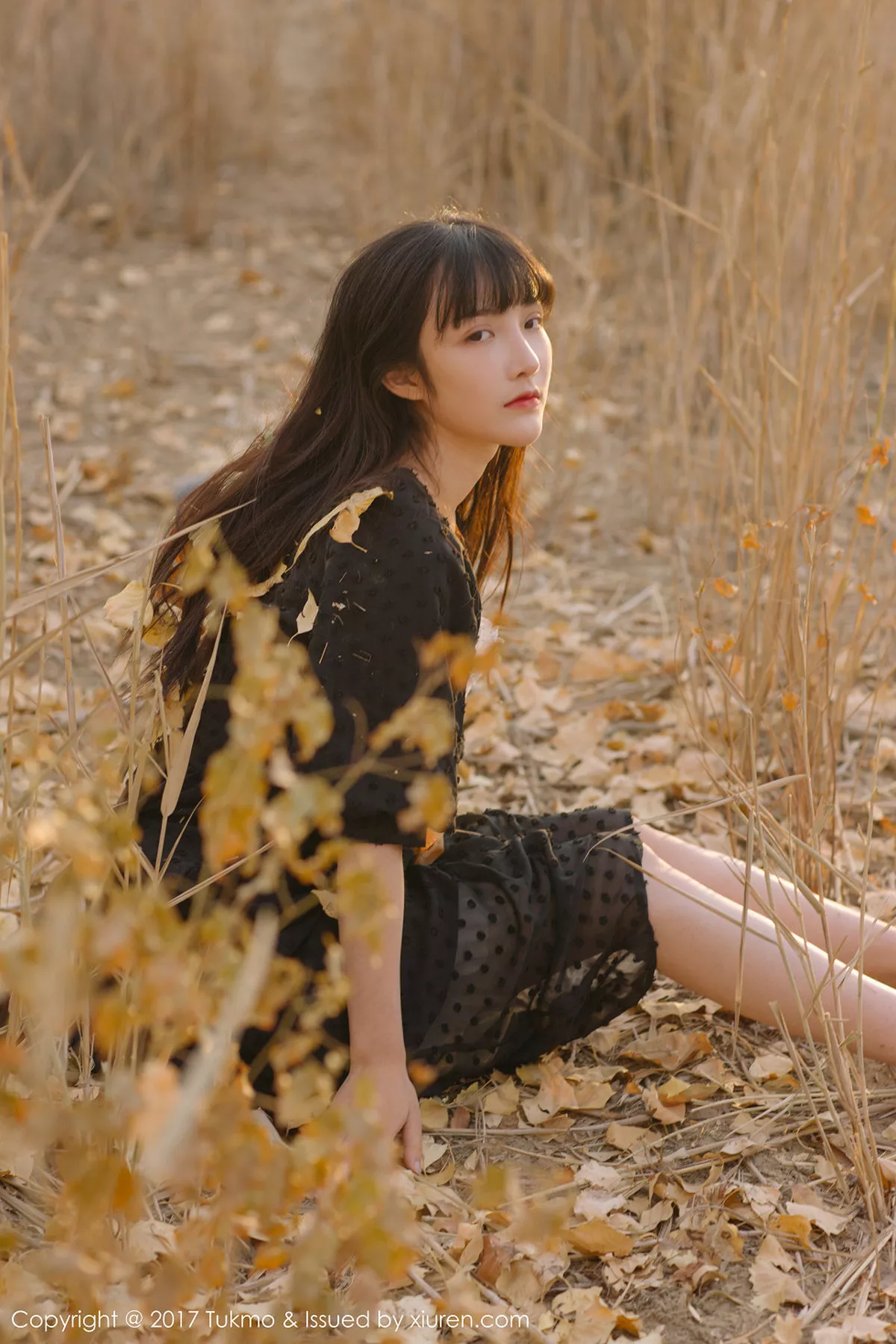 [BoLoli兔几盟]第104期之应写真 [40P]-033