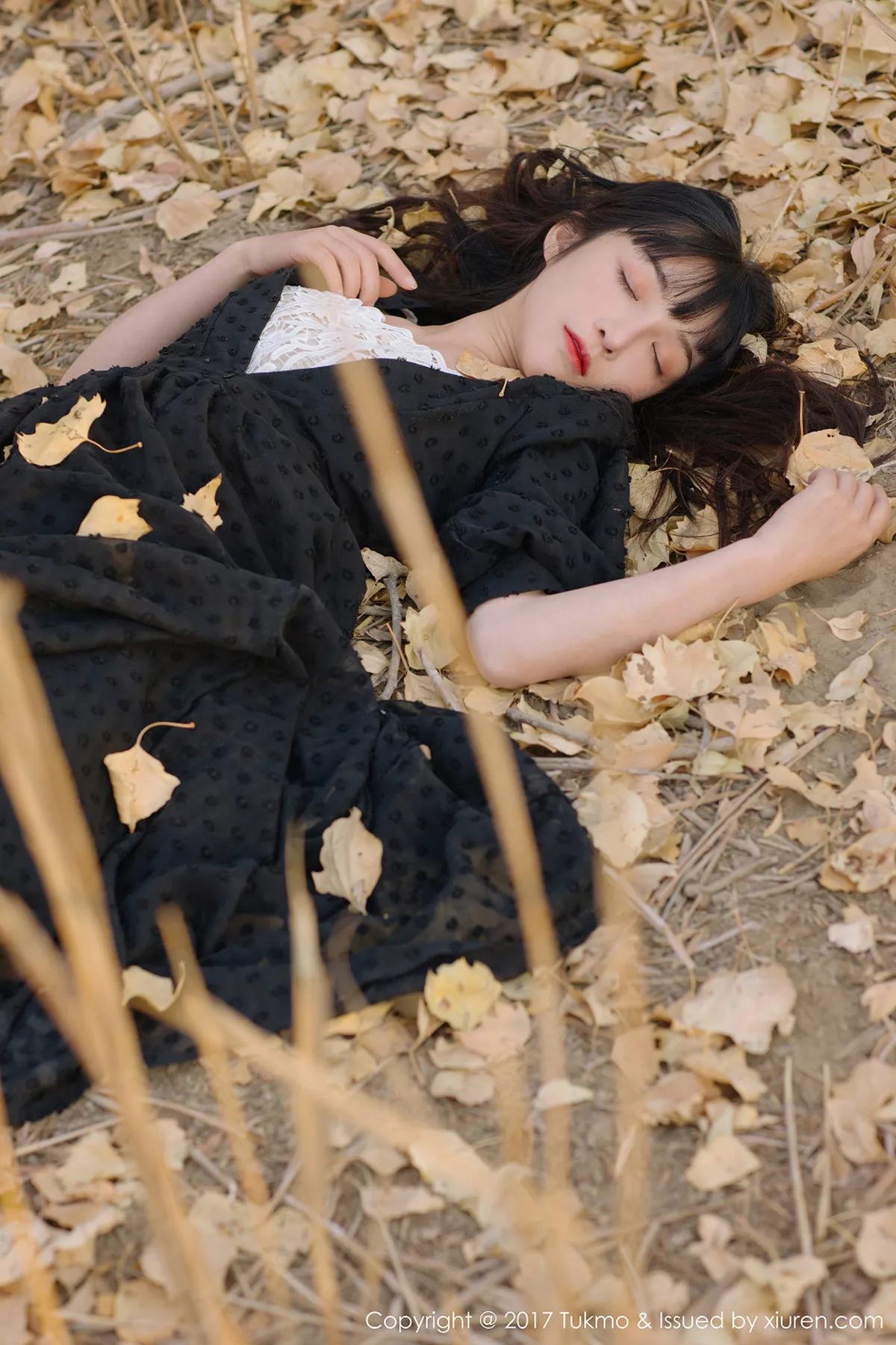 [BoLoli兔几盟]第104期之应写真 [40P]-032