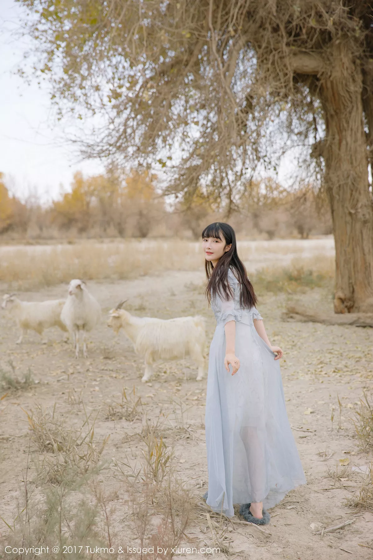 [BoLoli兔几盟]第104期之应写真 [40P]-024