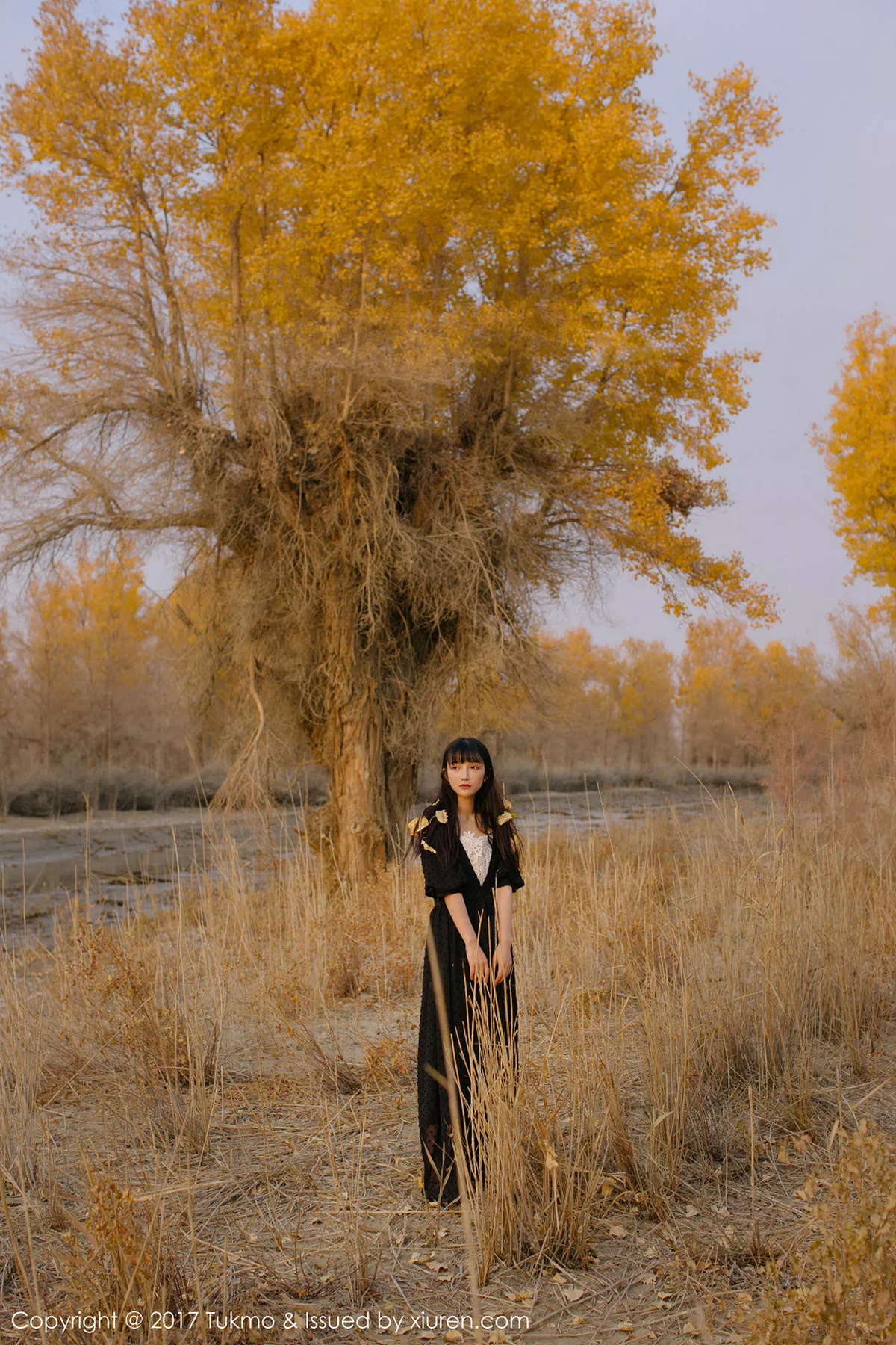 [BoLoli兔几盟]第104期之应写真 [40P]-038