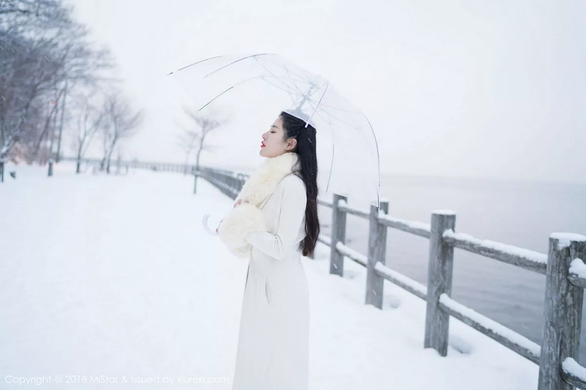 [MiStar魅妍社]第216期陈嘉嘉写真 [35P]-034