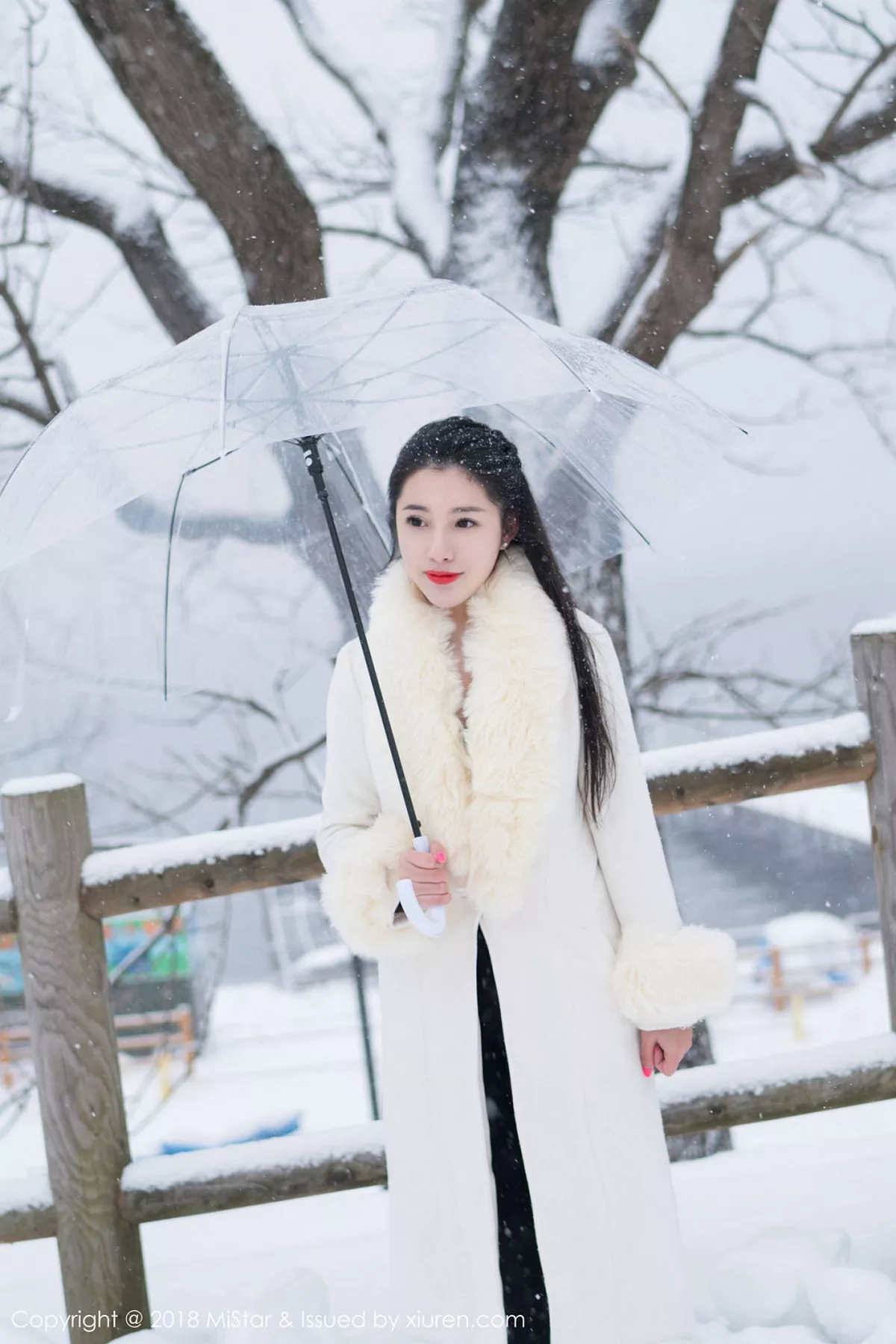 [MiStar魅妍社]第216期陈嘉嘉写真 [35P]-028