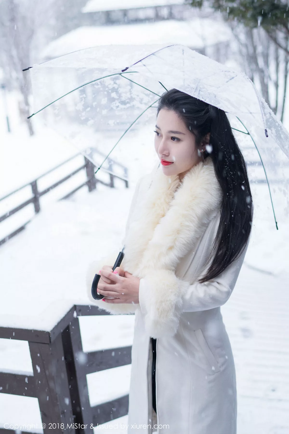 [MiStar魅妍社]第216期陈嘉嘉写真 [35P]-026
