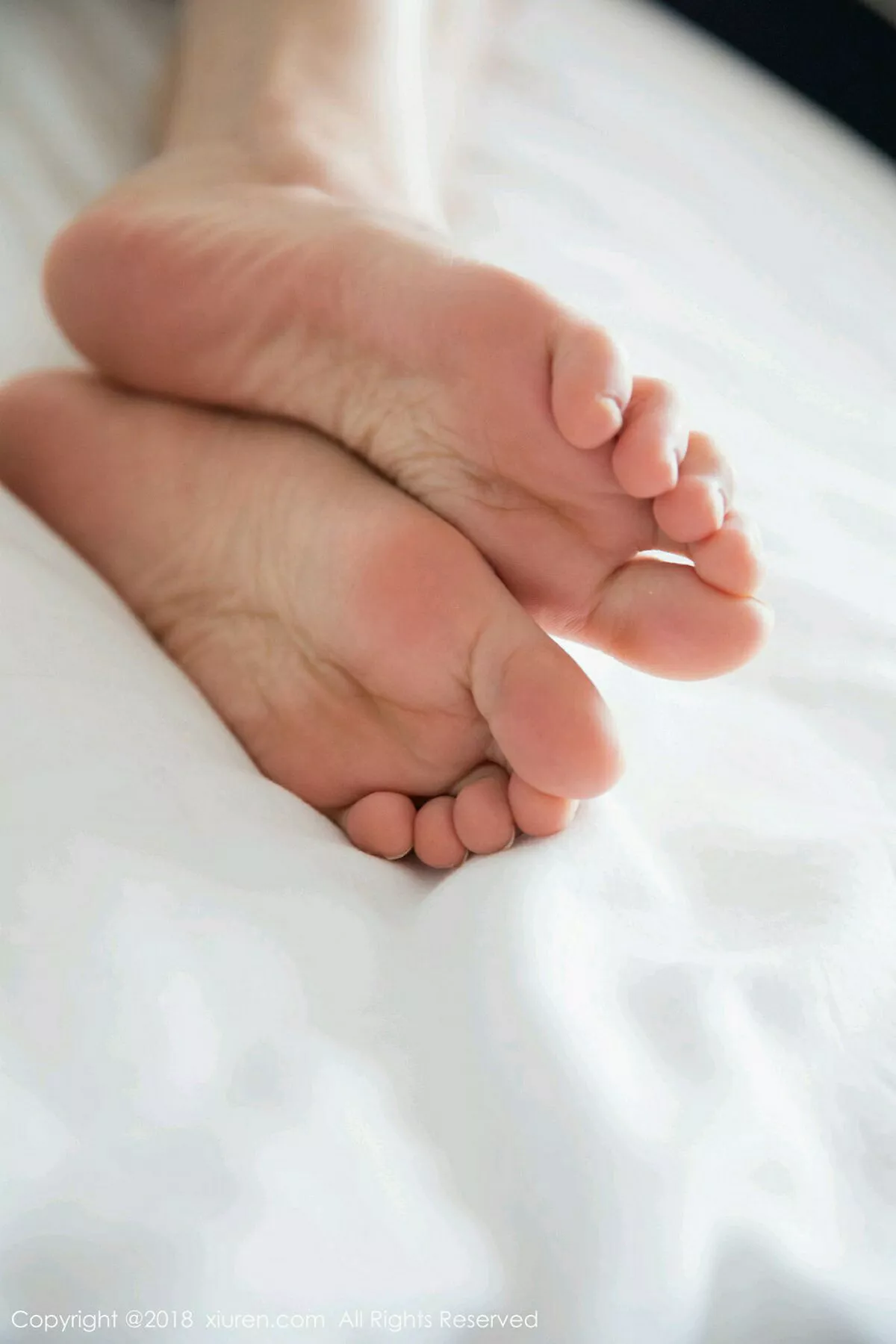 [XiuRen秀人网]第1134期杨晨晨写真 [64P]-011
