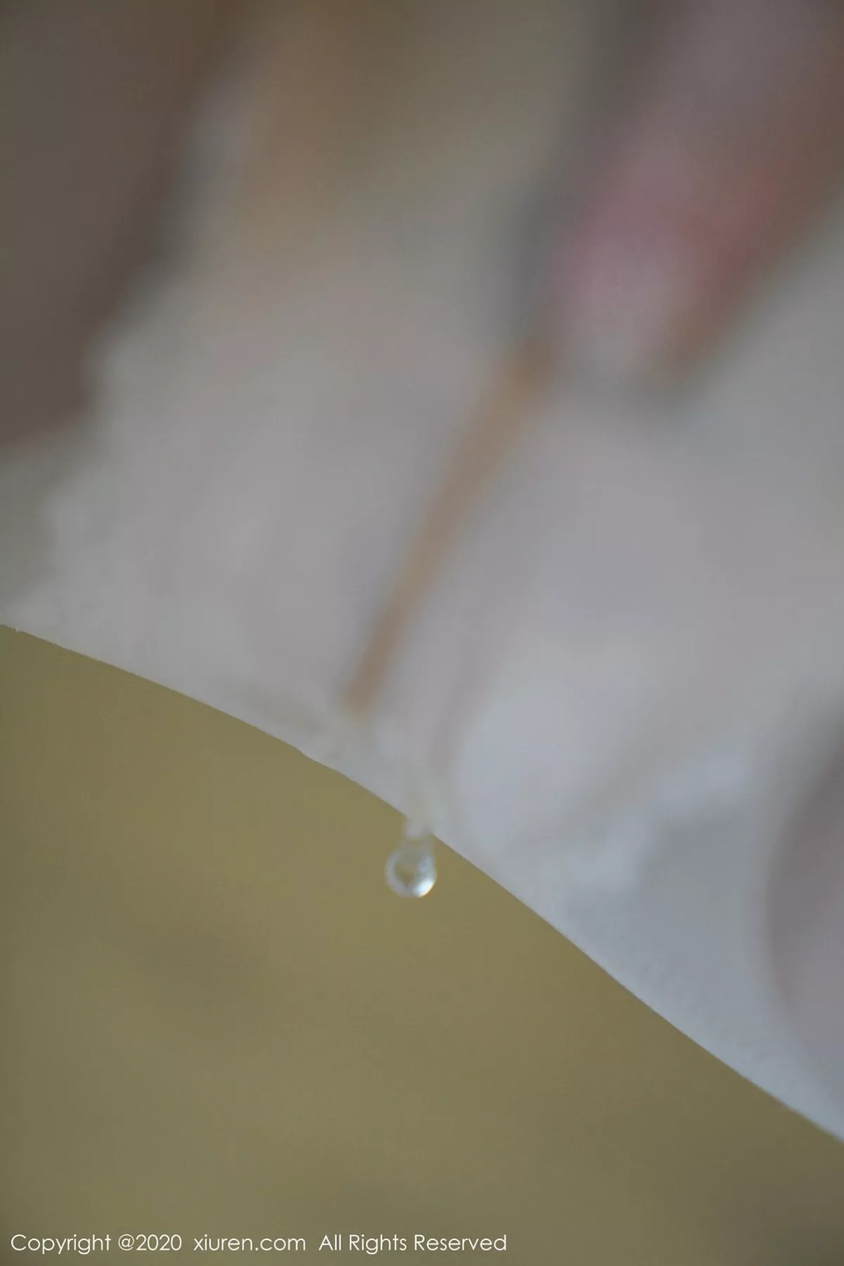 [XiuRen秀人网]第2506期沈梦瑶写真 [41P]-040