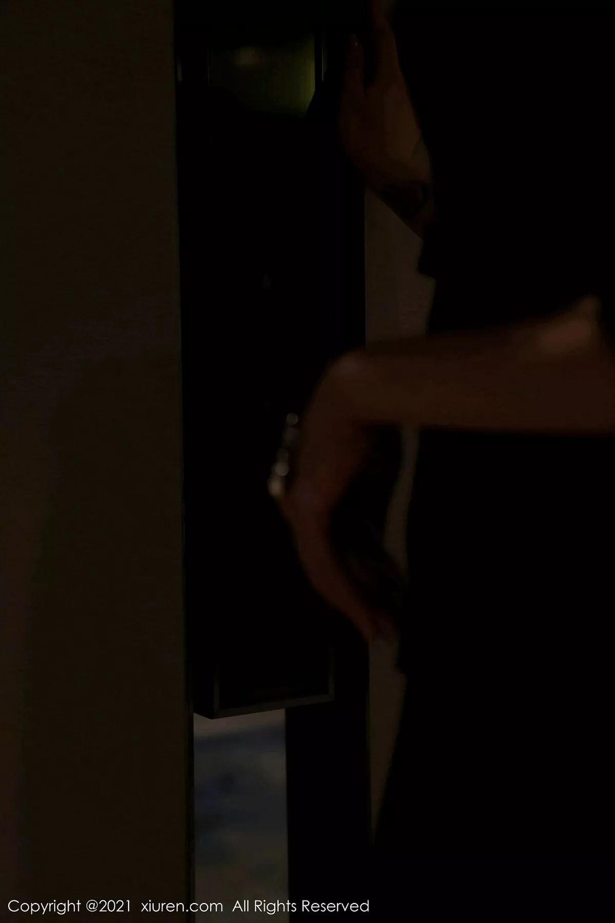 [XiuRen秀人网]第3043期玉兔miki写真 [80P]-009