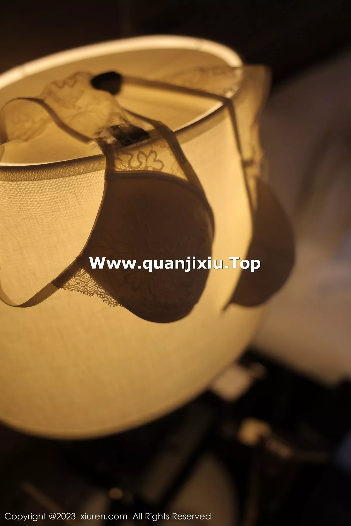 [XiuRen秀人网]第6290期yoo优优写真 [84P]-075
