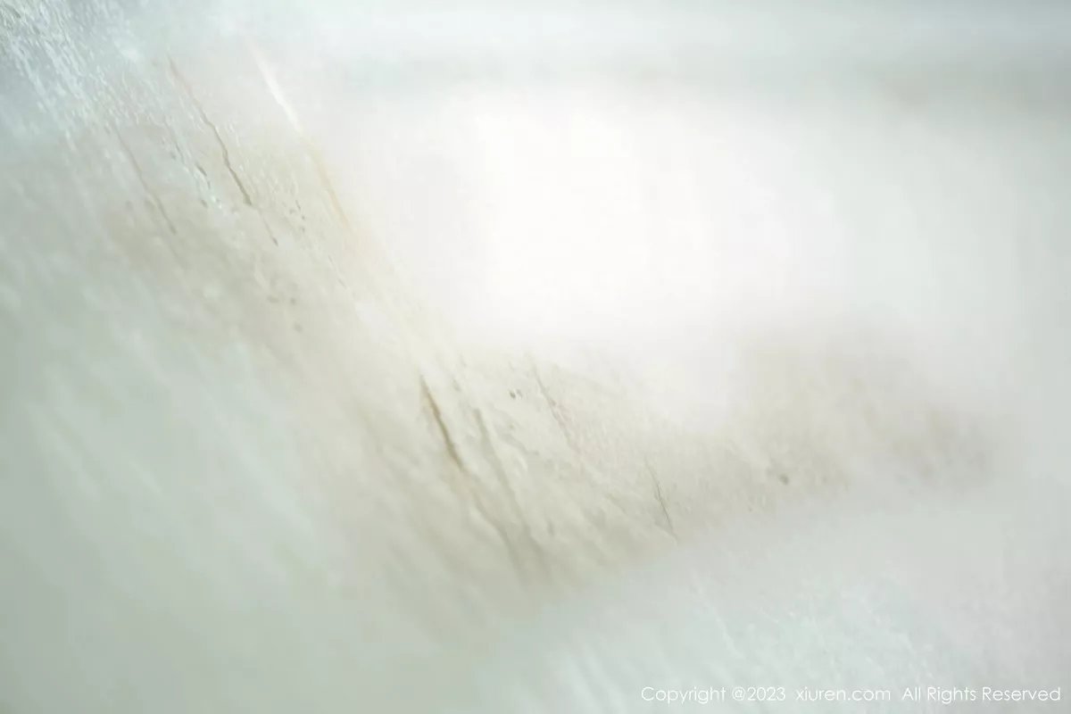 [XiuRen秀人网]第6610期周妍希写真 [79P]-071