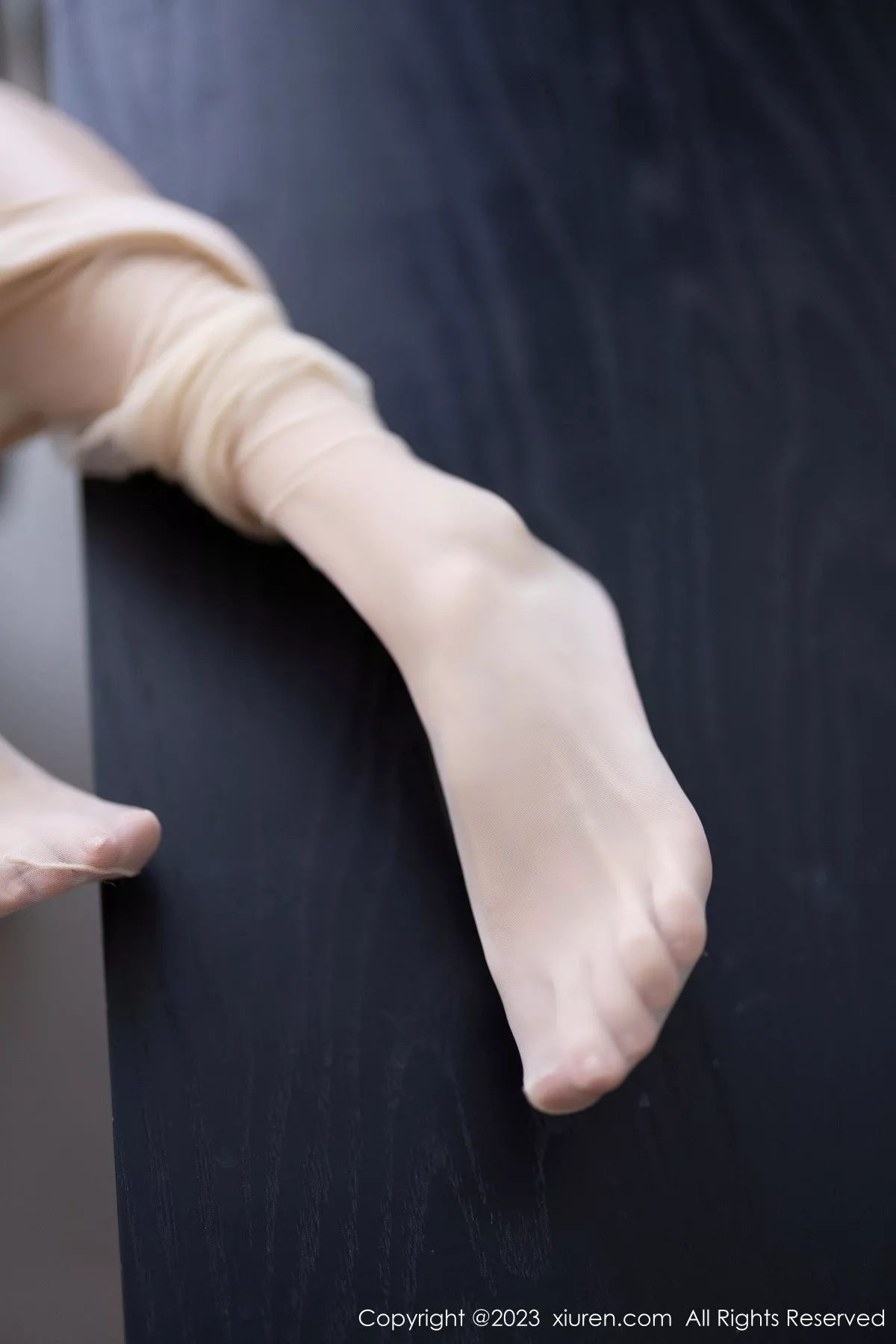 [XiuRen秀人网]第7745期林星阑写真 [83P]-081