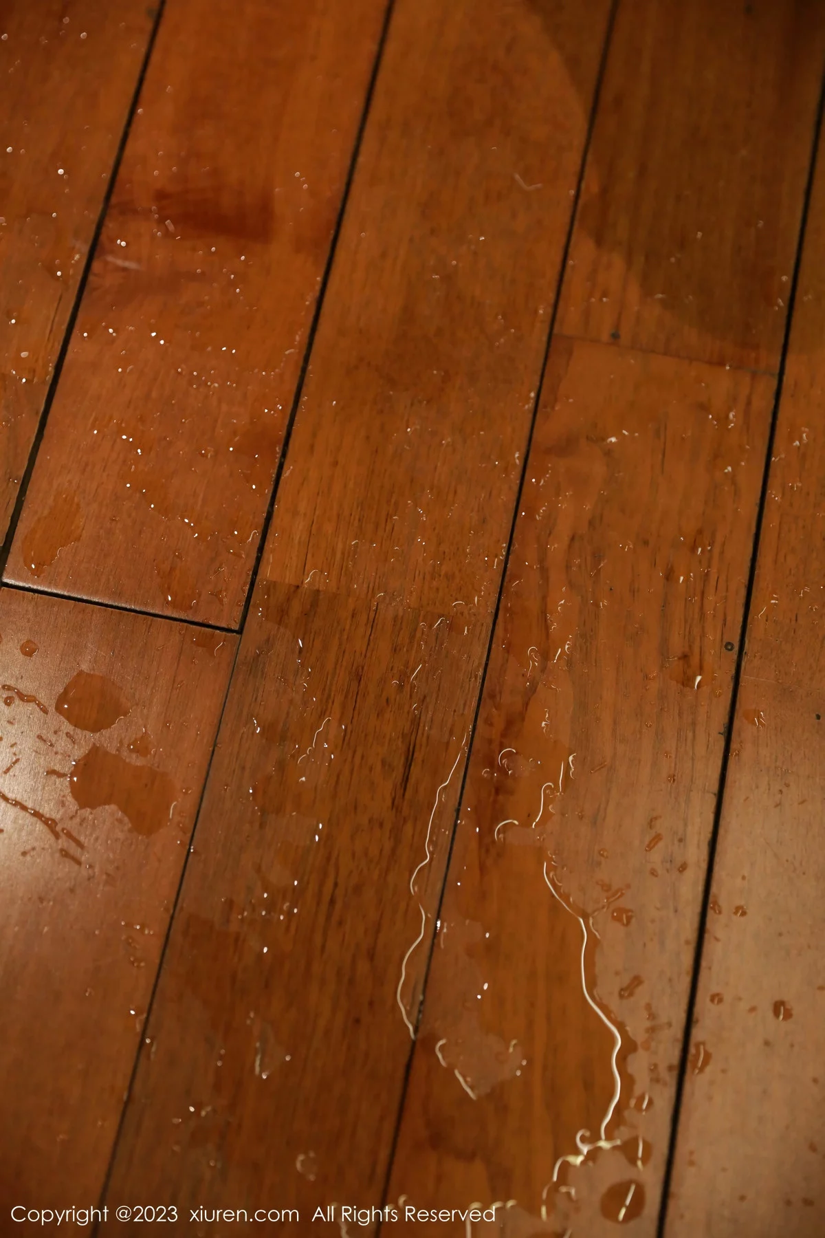 [XiuRen秀人网]第7821期小薯条写真 [71P]-068
