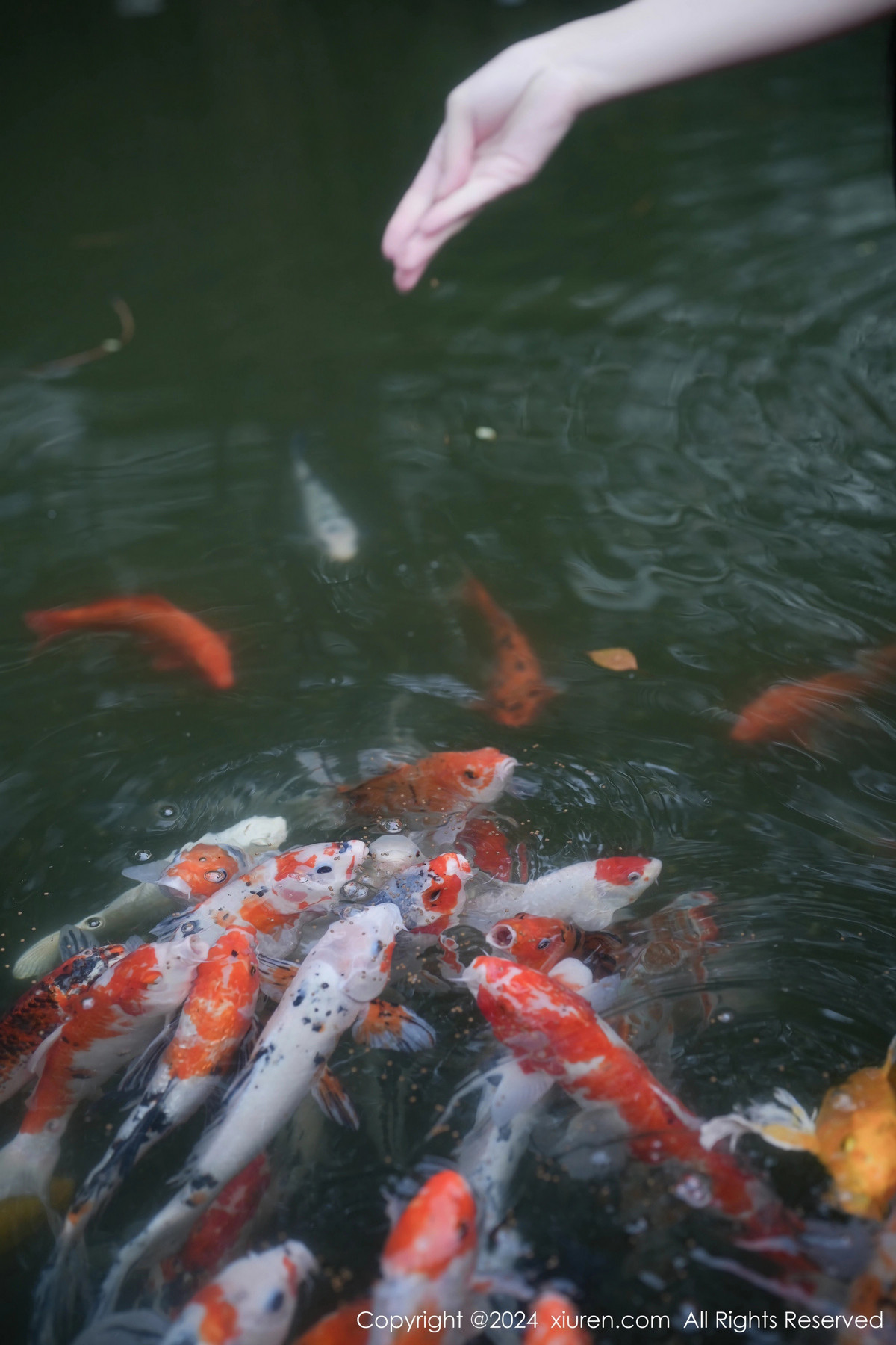 [XiuRen秀人网]第7996期伊雪儿写真 [58P]-023