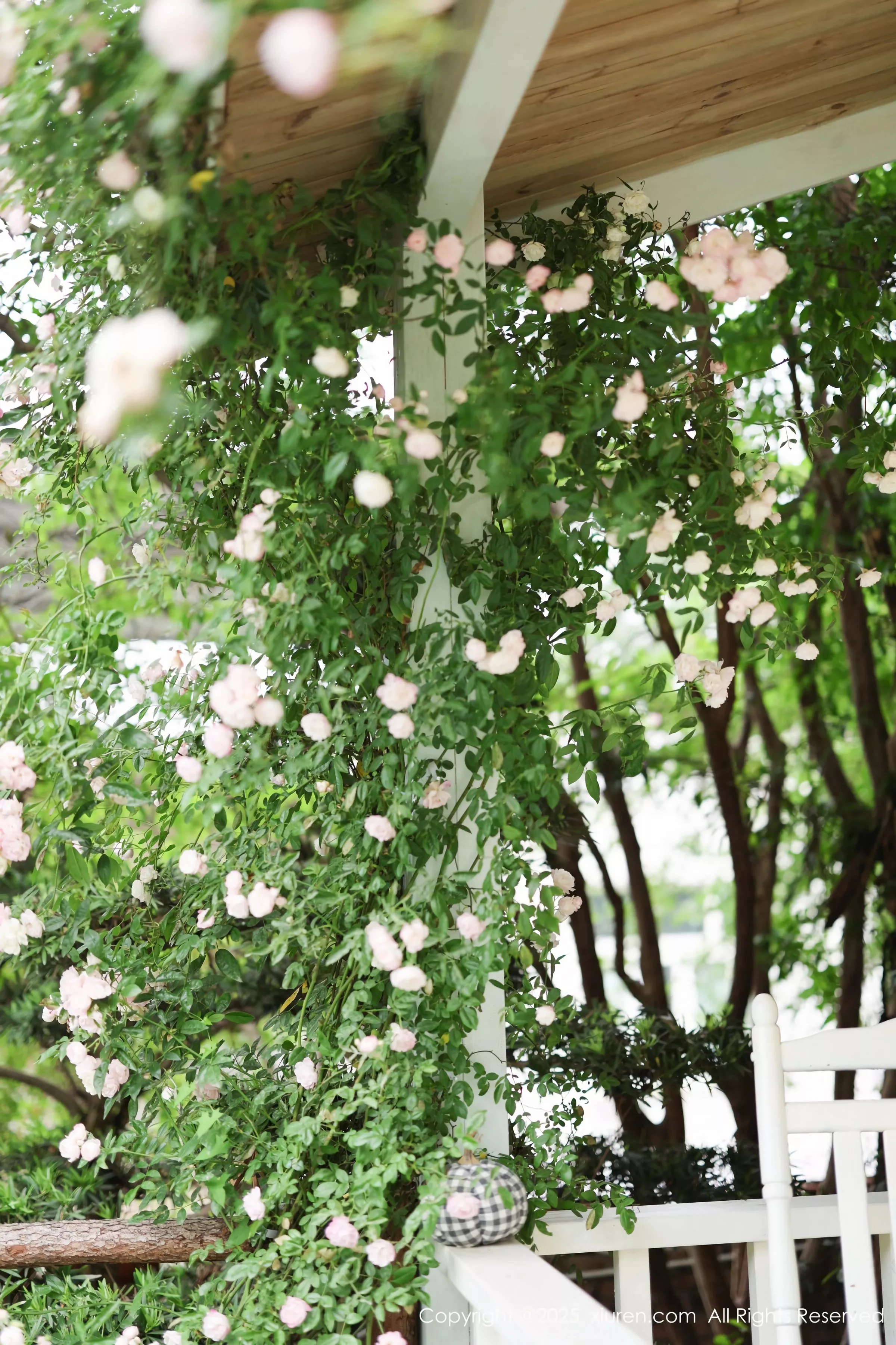 [XiuRen秀人网]第10215期茂木希子写真 [82P]-033