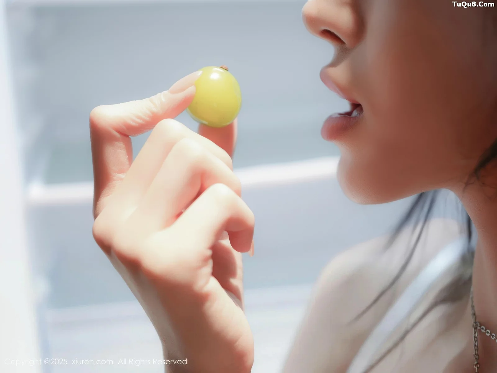 [XiuRen秀人网]第10722期林嘉旎写真 [70P]-005