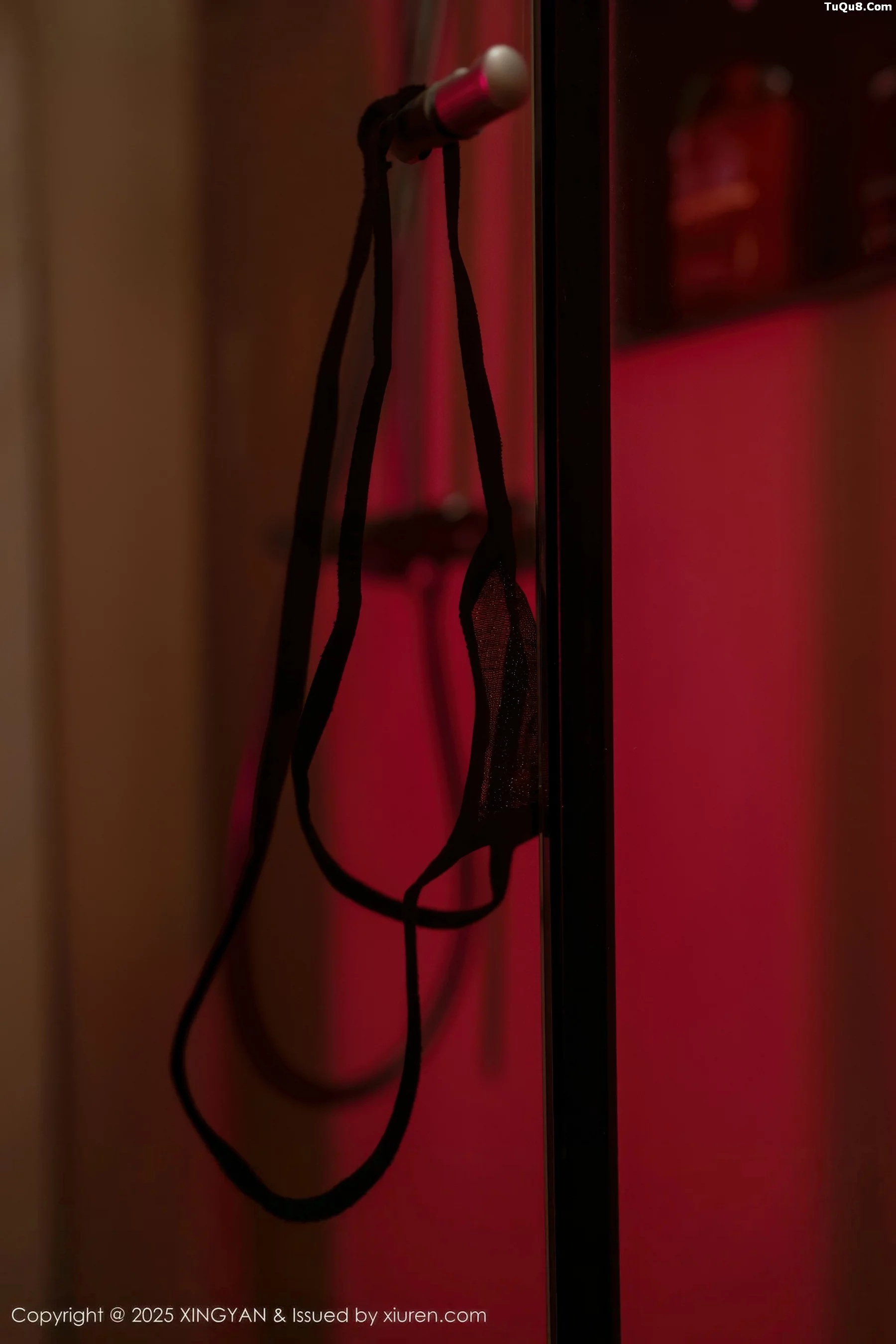 [XingYan星颜社]第424期沈南汐写真 [71P]-016